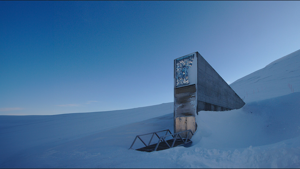21gramos lanza Svalbard, su nueva agencia creativa